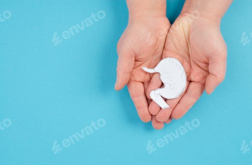 Preview: Holding a stomach in the hand, inflammation digestive system, gastrointestinal health issues