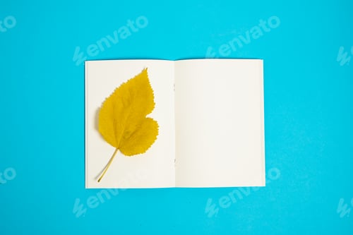 Preview: Top view of blank paper book with dry autumn leaf on the page.