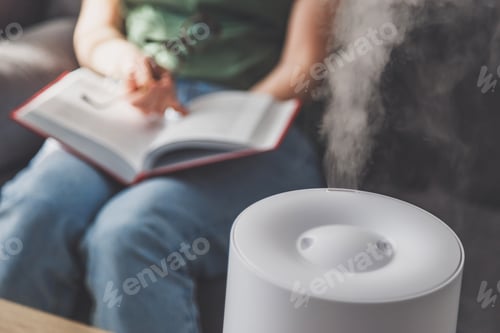Preview: Vapor from humidifier in the morning light in a living room