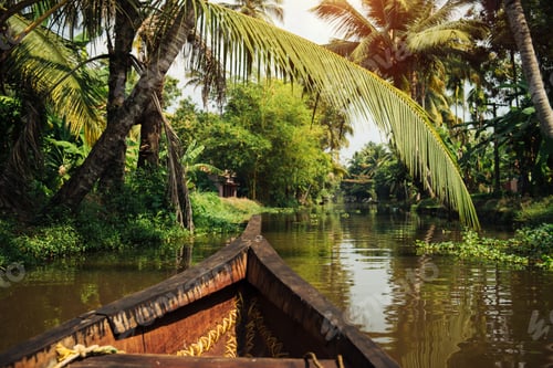 Preview: Traditional local boat on Alleppey backwaters