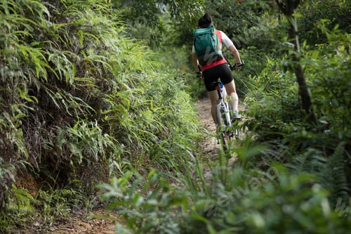 Preview: Cycling in the forest