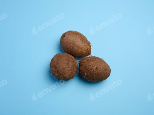 Preview: Whole coconut on blue background, top view.