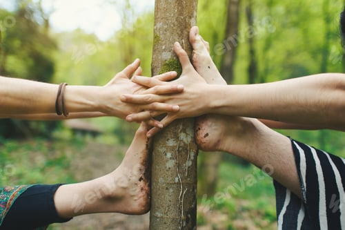 Preview: Human Hands on Tree, Sustainability Concept