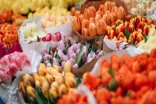 Preview: spring