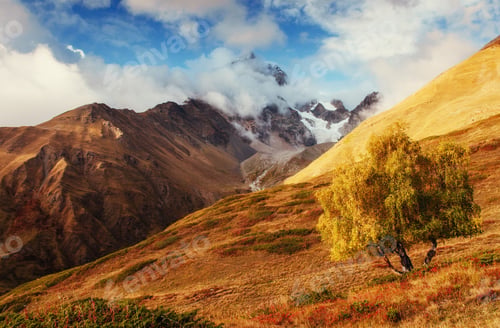 Preview: Autumn landscape and snowy mountain peaks.