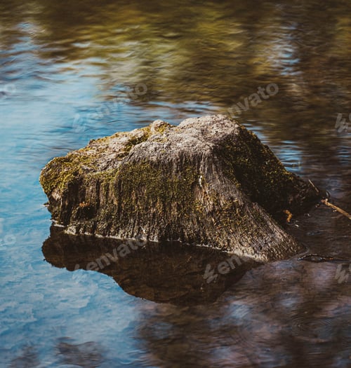 Preview: Large rock in the middle of a tranquil body of water surrounded by lush foliage.