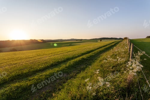 Preview: Beautiful scenery of a greenfield in the countryside in the Eifel region, Germany