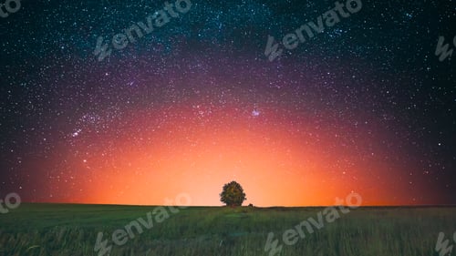 Preview: Amazing Bold Bright Morning Sunrise Evening Sunset Sky Above Lonely Tree In Meadow. Glowing Stars