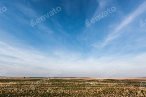 Preview: grassy lawn against blue sky with clouds