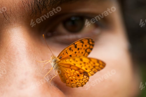 Preview: Butterfly sitting on a young man’s face, Symbiosis of man and nature.