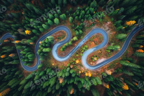Preview: Aerial view of winding road in colorful autumn forest at sunrise