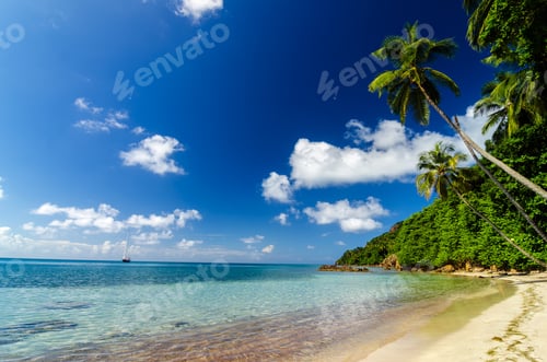 Preview: Beach and Turquoise Water