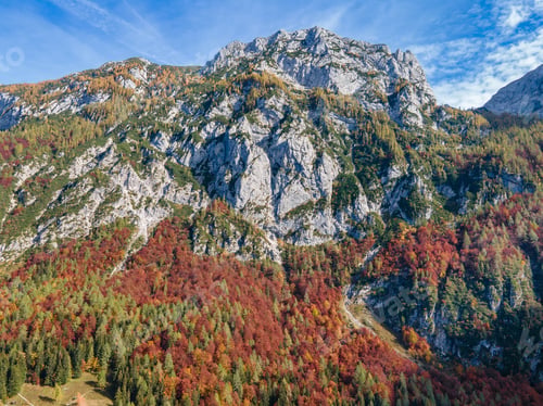 Preview: Colorful beech forest in Logar valley, Slovenia
