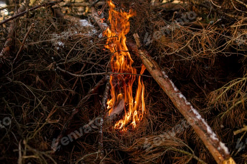 Preview: burned firewood in fireplace and fire close up