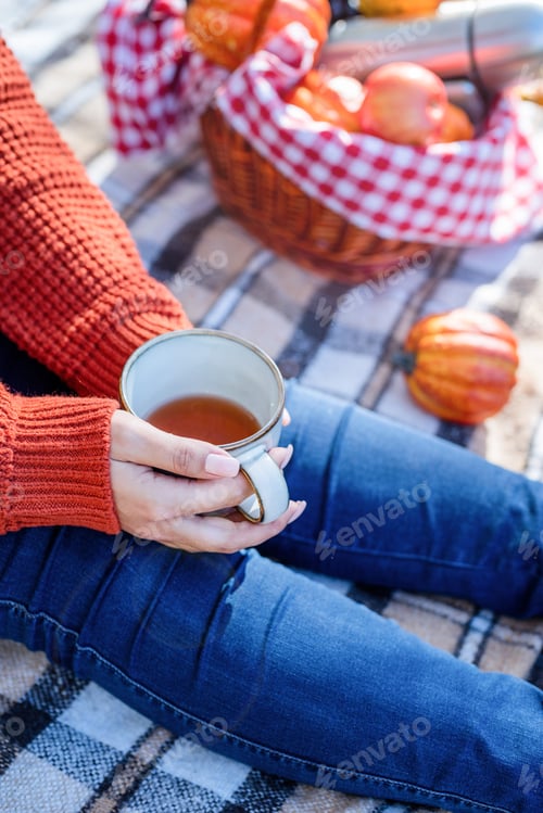 Preview: Beautiful woman in red sweater on a picnic in a autumn forest