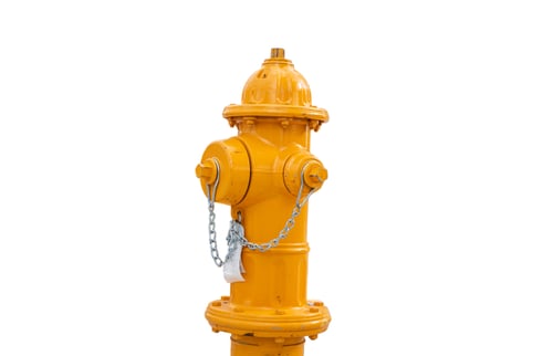 Preview: Fire hydrant isolated on white transparent