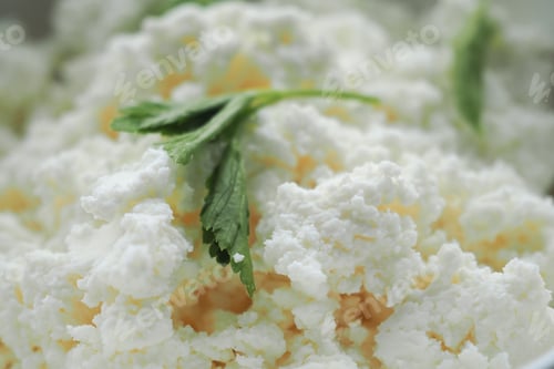 Preview: close up of fresh cheese on white background.