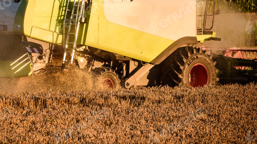 Preview: Harvesting wheat field with combine