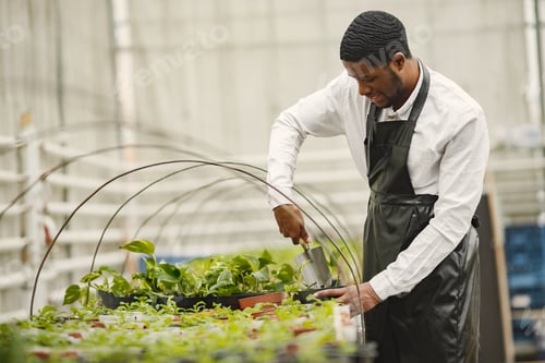 Preview: Gardener transplants plant with a gardening trowel