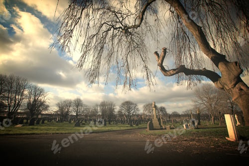 Preview: Old cemetery surrounded by trees in England, UK