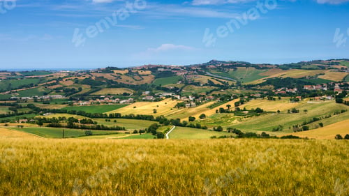 Preview: Rural landscape near Santa Maria Nuova and Osimo, Marche, Italy