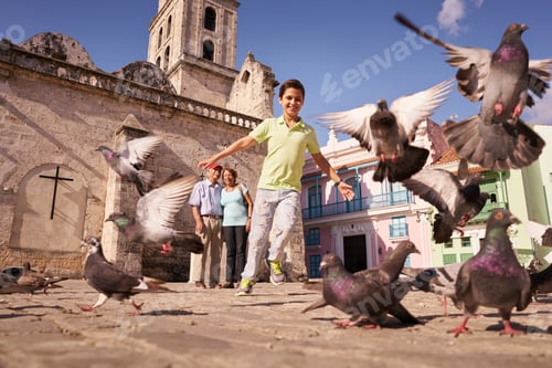 Preview: Grandparents And Grandson Boy Chasing Pigeons Flying