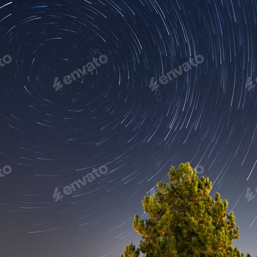 Preview: Star trails over a pine tree in Zagreb, Croatia. Polaris star.