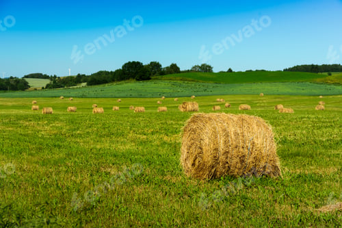Preview: Haystacks on green field at summer in Poland
