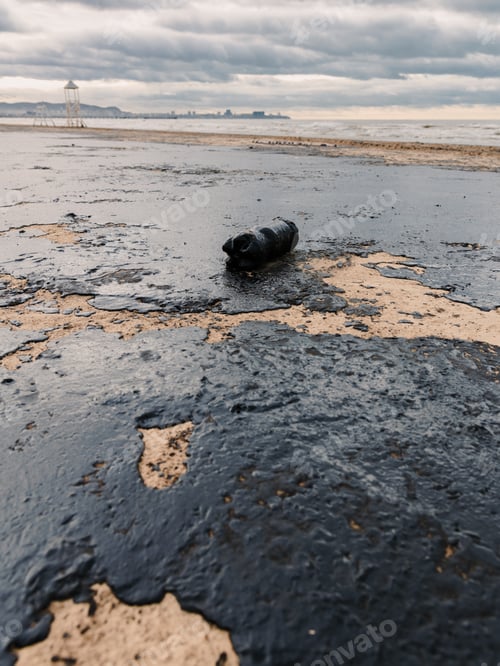 Preview: Oil on Black sea coastline after a tanker wreck. The beach is polluted with fuel oil