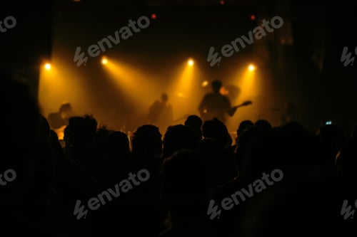 Preview: Music concert crowd, people enjoying live rock performance