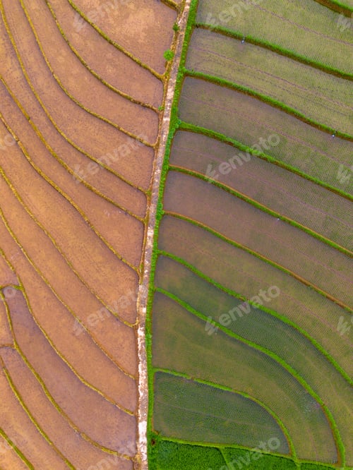 Preview: Beautiful morning view in Indonesia, panoramic landscape of rice fields with mountain ranges