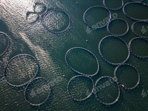 Preview: Salmon fish farm in the river aerial view