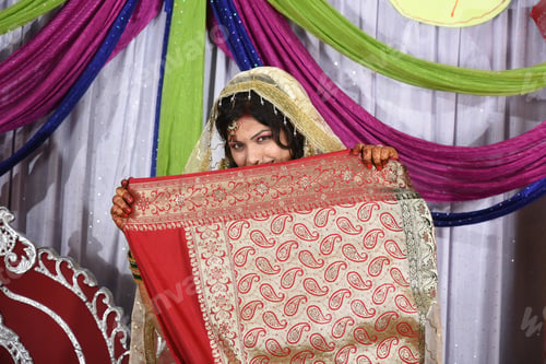 Preview: Indian bride wearing traditional wedding cloths in marriage ceremony.