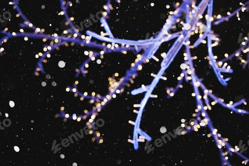 Preview: Abstract Outline Of Light- Colored Circles Bokeh. Blurred Background
