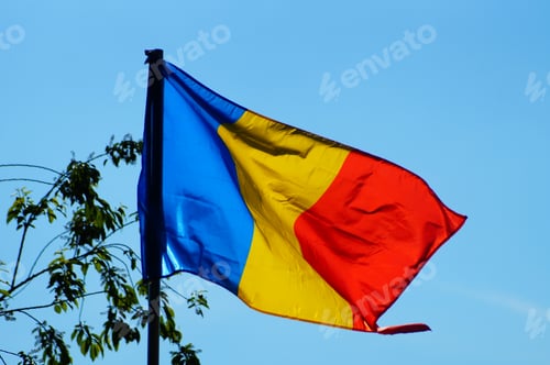 Preview: A Romanian flag in an allotment garden.