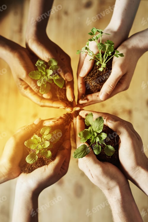 Preview: Live sustainably. Cropped shot of a group of people holding plants growing out of soil.