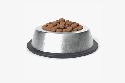 Preview: Metal Pet Food Bowl with Kibble