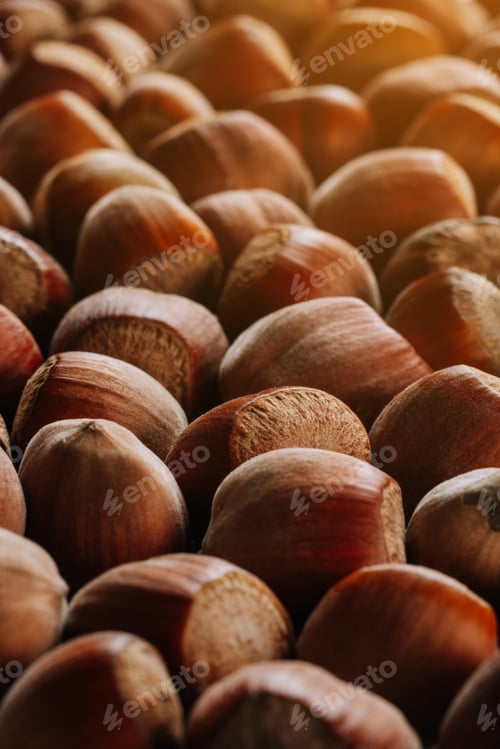 Preview: Closeup of some unopened hazelnuts