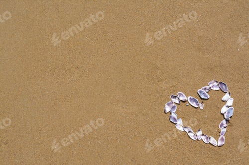 Preview: Heart made with beautiful sea shells on wet sand, flat lay. Space for text