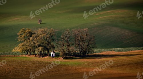 Preview: Fields of Moravia, Czech Republic