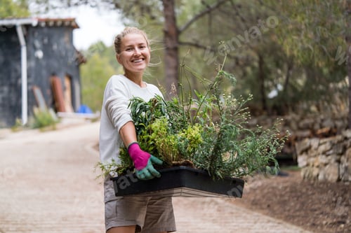 Preview: Woman working in the garden carrying plants in the container