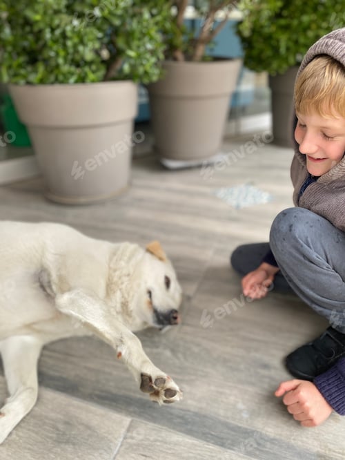 Preview: Boy with street dog