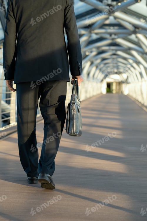 Preview: Rear view of delegate or businessman carrying handbag while moving along aisle
