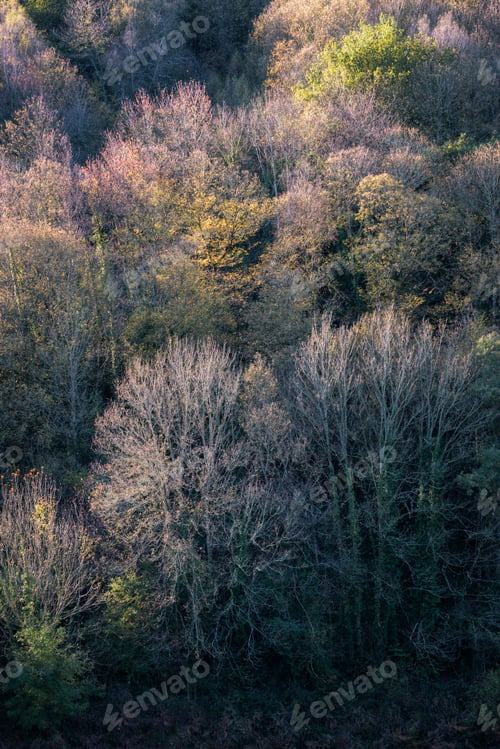 Preview: Mixed deciduous forests populate the Courel Mountains Unesco Geopark