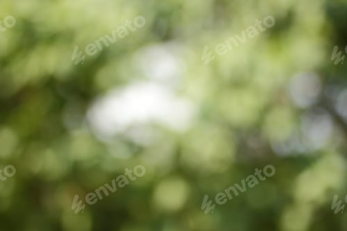 Preview: Abstract Background Of Green Leaves For Designer
