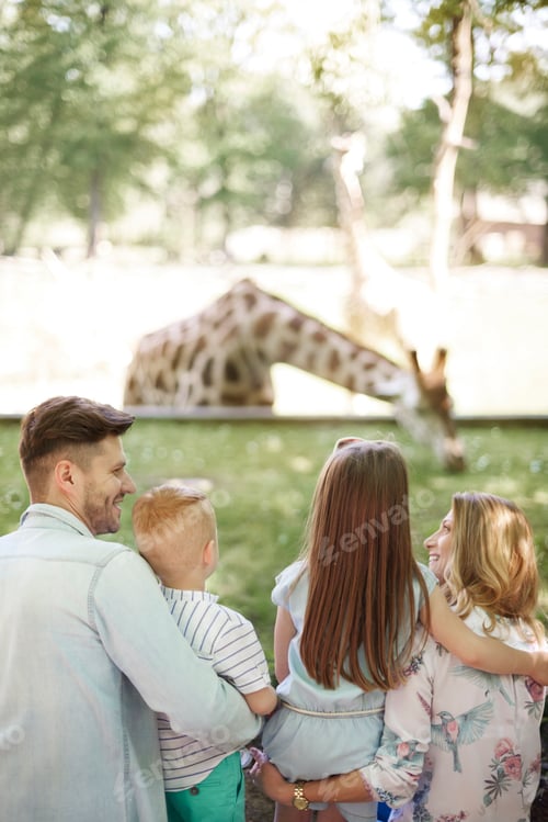 Preview: Watching how giraffe eating a grass
