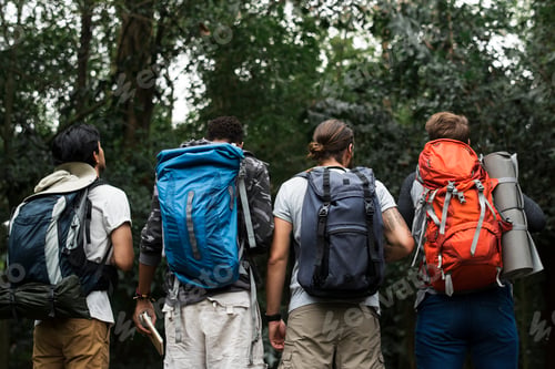 Preview: Trekking together in a forest