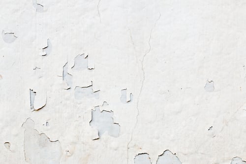 Preview: Light Gray Stucco Wall Texture. Abstract Background