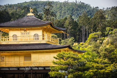 Preview: Kinkakuji Temple (The Golden Pavilion) in Kyoto, Japan