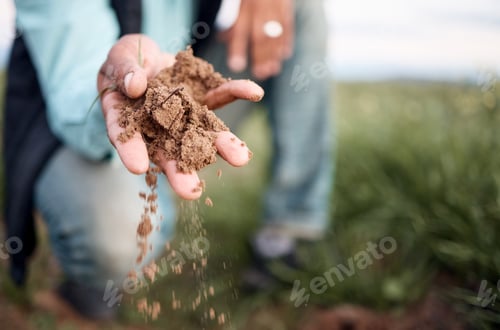 Preview: Farmer, hands or checking soil in farming field, agriculture land or countryside sustainability in